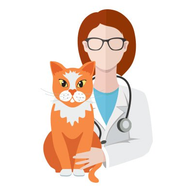 veterinaire-masson-lauze-urgences-chien-chat-lapin-furet-rat-hamster-souris-boulogne-billancourt-hauts-de-seine-echographie-cardiaque-abdominale-détartrage-sterilisation-chirurgie