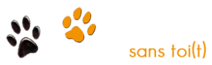 veterinaire-masson-lauze-urgences-chien-chat-lapin-furet-rat-hamster-souris-boulogne-billancourt-hauts-de-seine-echographie-cardiaque-abdominale-détartrage-sterilisation-chirurgie