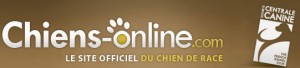 veterinaire-masson-lauze-urgences-chien-chat-lapin-furet-rat-hamster-souris-boulogne-billancourt-hauts-de-seine-echographie-cardiaque-abdominale-détartrage-sterilisation-chirurgie