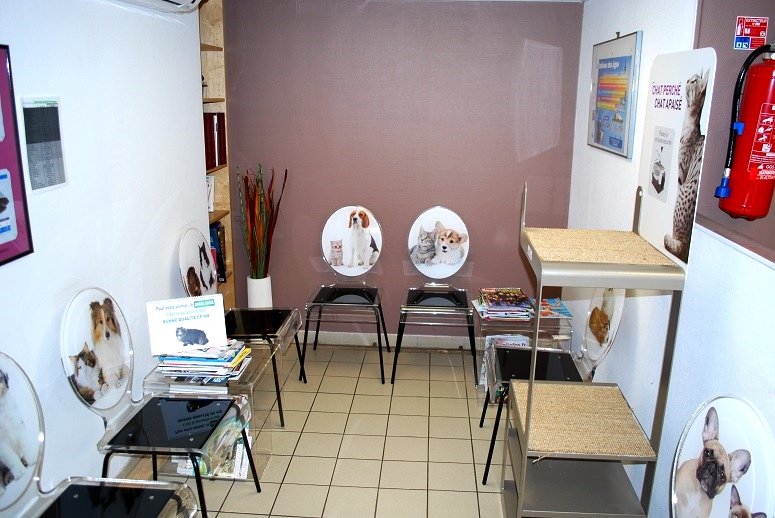 veterinaire-masson-lauze-urgences-chien-chat-lapin-furet-rat-hamster-souris-boulogne-billancourt-hauts-de-seine-echographie-cardiaque-abdominale-détartrage-sterilisation-chirurgie