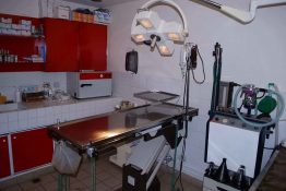 veterinaire-masson-lauze-urgences-chien-chat-lapin-furet-rat-hamster-souris-boulogne-billancourt-hauts-de-seine-echographie-cardiaque-abdominale-détartrage-sterilisation-chirurgie