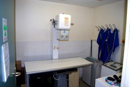 veterinaire-masson-lauze-urgences-chien-chat-lapin-furet-rat-hamster-souris-boulogne-billancourt-hauts-de-seine-echographie-cardiaque-abdominale-détartrage-sterilisation-chirurgie