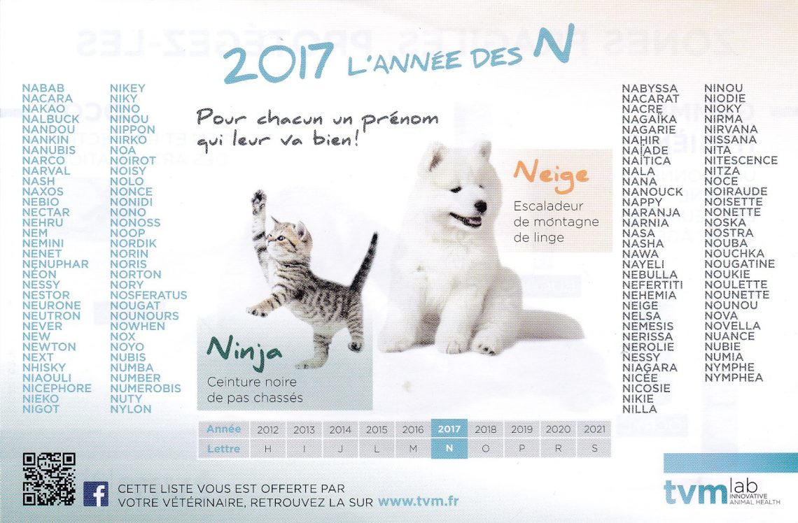 lettre chien 2017