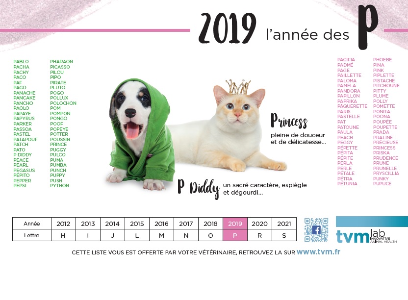 La Lettre P Pour 2019 Clinique Vétérinaire Des Passages