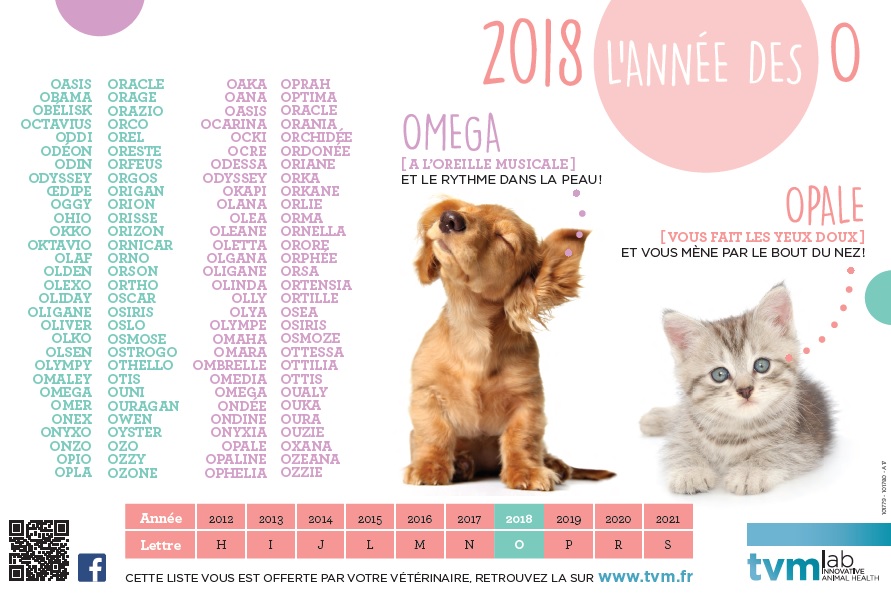 60 Millions de consommateurs compare les aliments pour chat – Clinique  vétérinaire des Passages – UNIVET