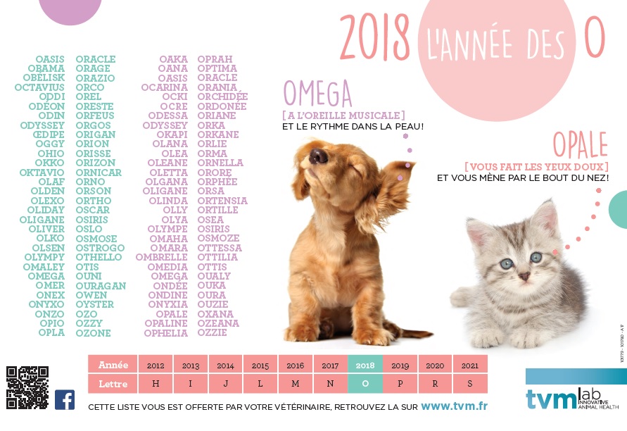 Palmarès Des Chats De Race En 2018 Clinique Vétérinaire