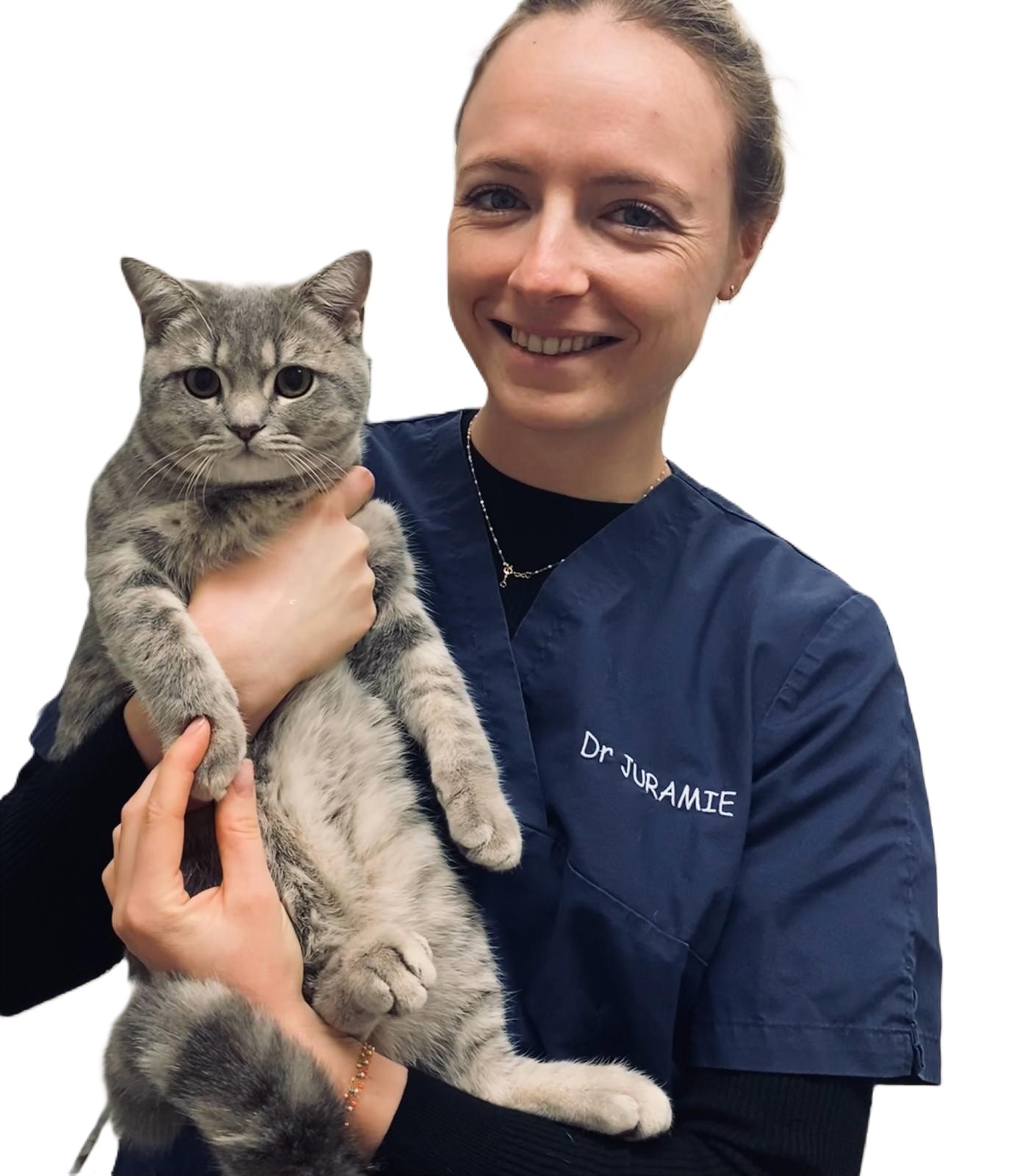 veterinaire-masson-lauze-urgences-chien-chat-lapin-furet-rat-hamster-souris-boulogne-billancourt-hauts-de-seine-echographie-cardiaque-abdominale-détartrage-sterilisation-chirurgie