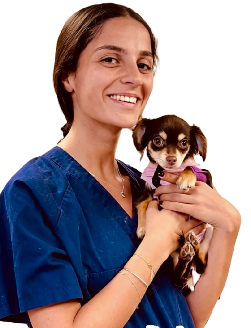 veterinaire-masson-lauze-urgences-chien-chat-lapin-furet-rat-hamster-souris-boulogne-billancourt-hauts-de-seine-echographie-cardiaque-abdominale-détartrage-sterilisation-chirurgie